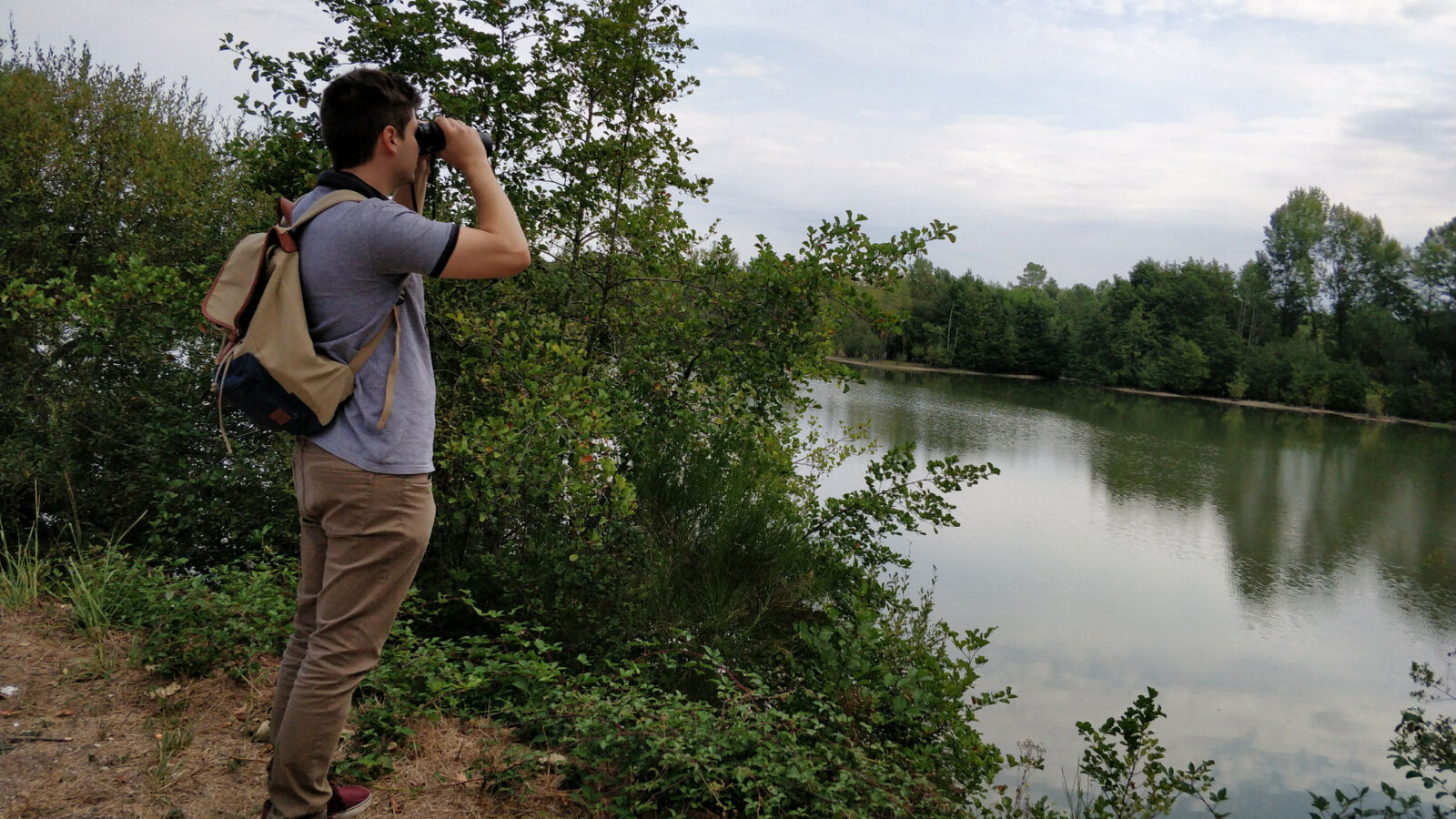 3 spots pour observer les oiseaux dans le Médoc