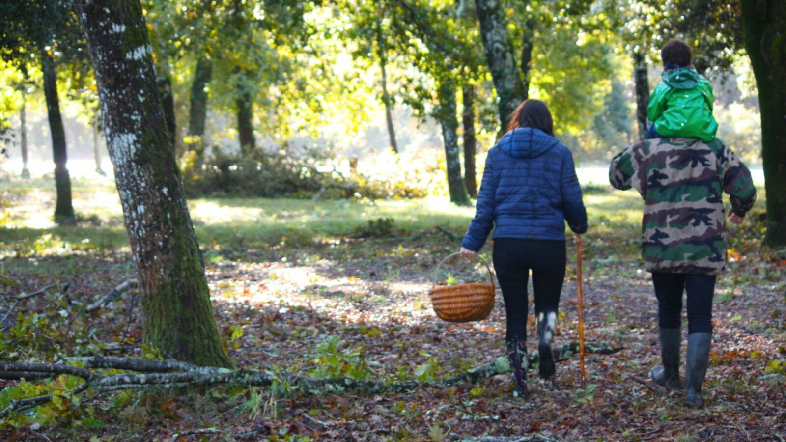 L’automne dans le Médoc : 5 choses à faire en famille