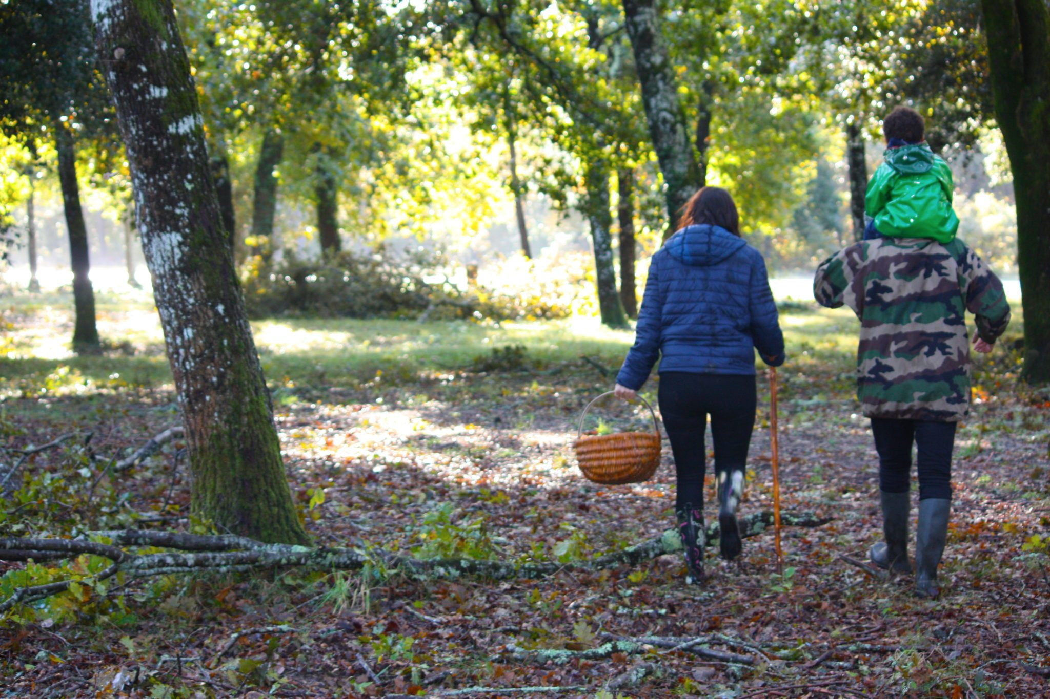 Récolte cèpe en famille