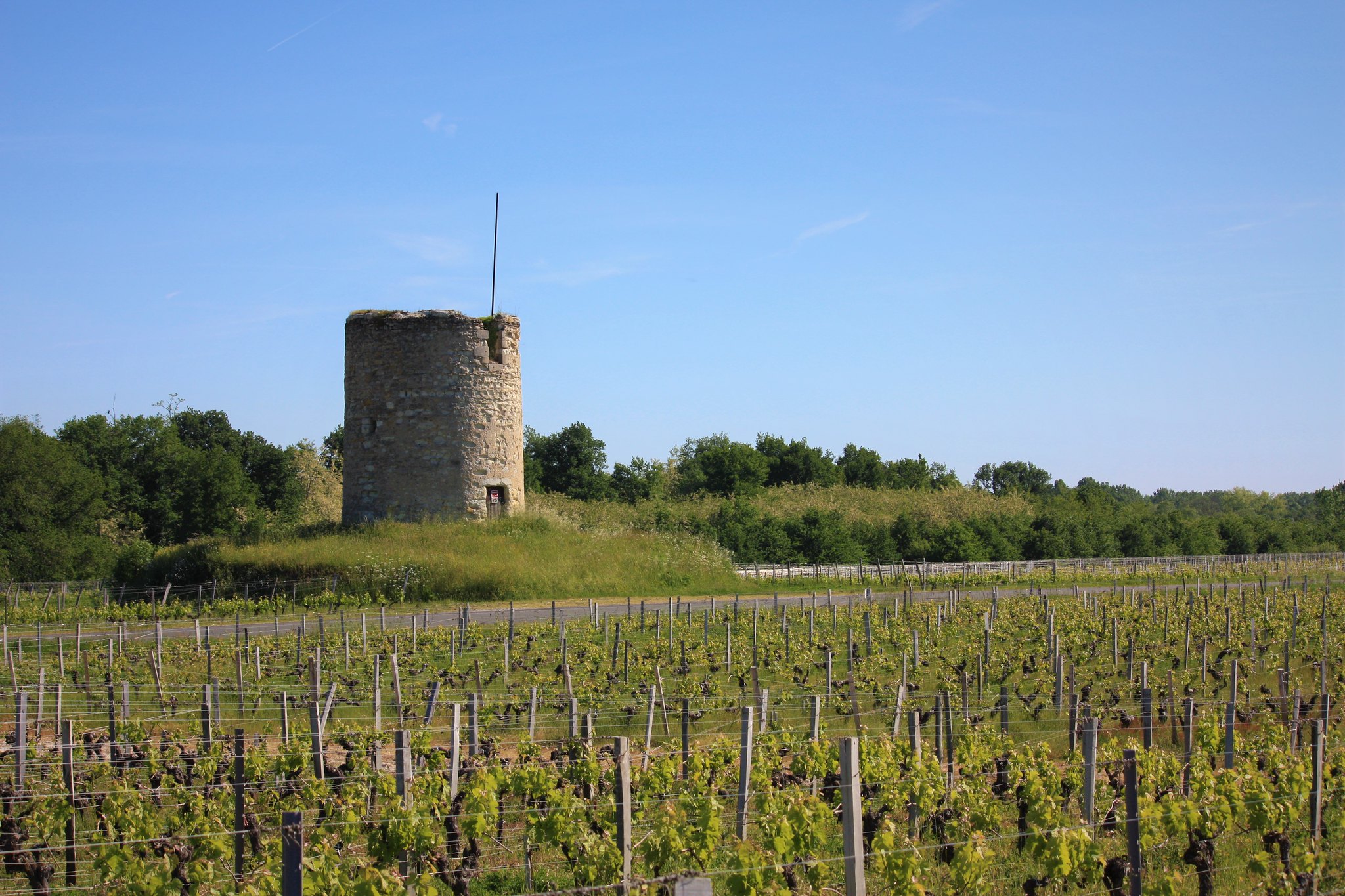 moulin et vigne Medoc