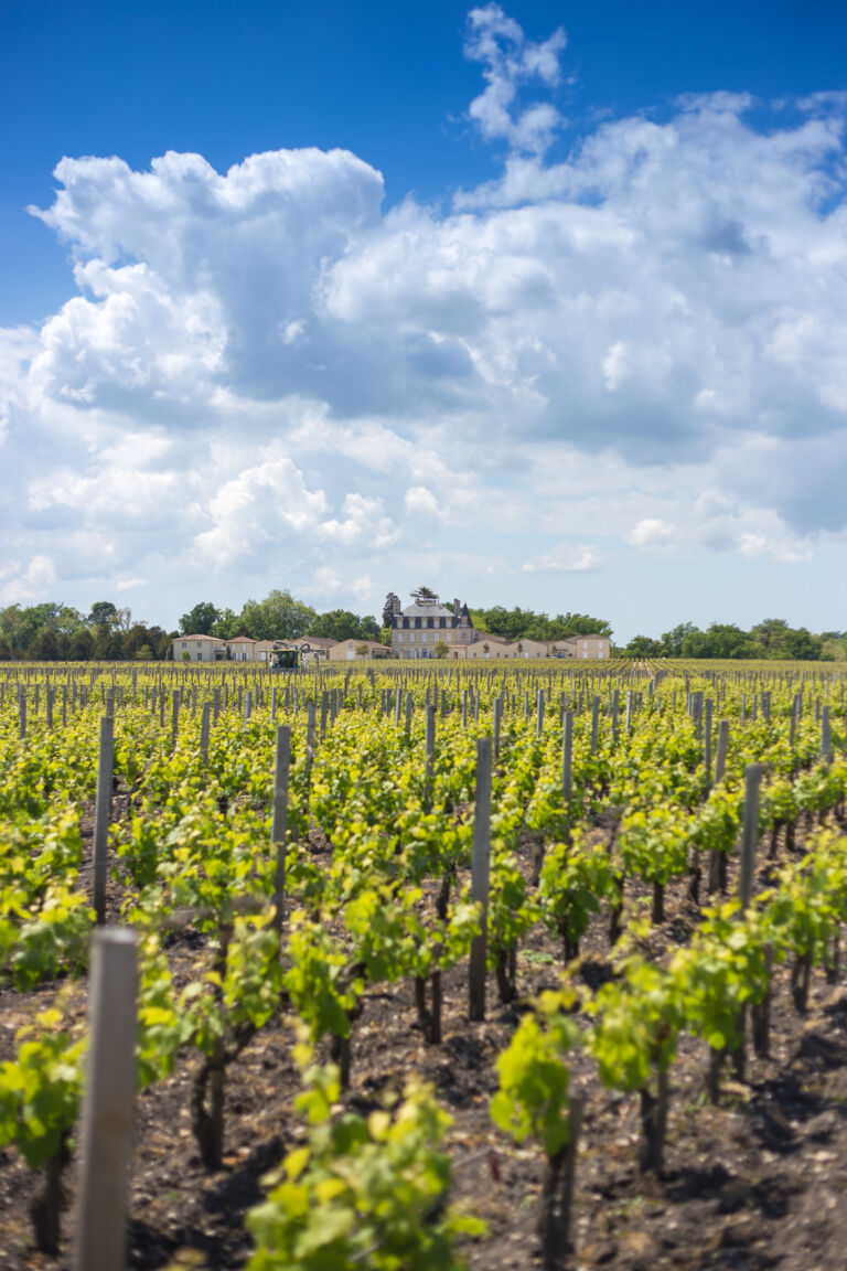 vignoble Pauillac