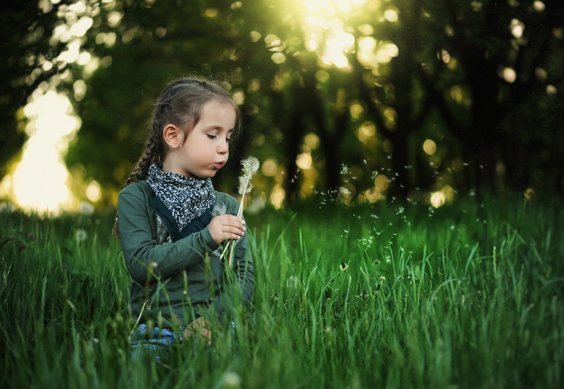 Enfants activité forêt