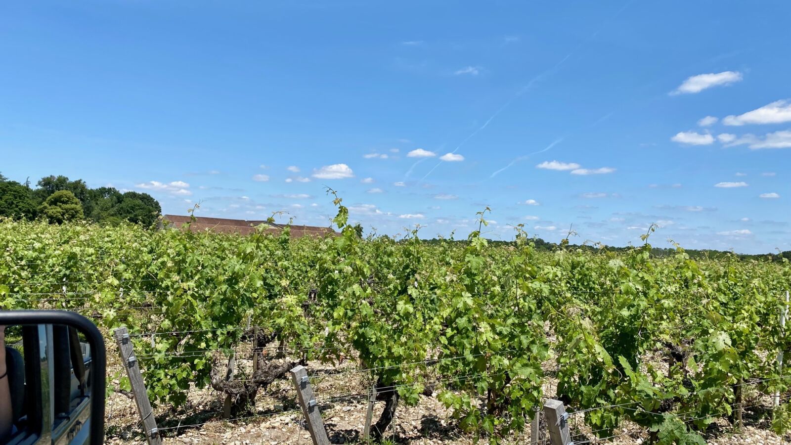 Un safari dans les vignes du Médoc