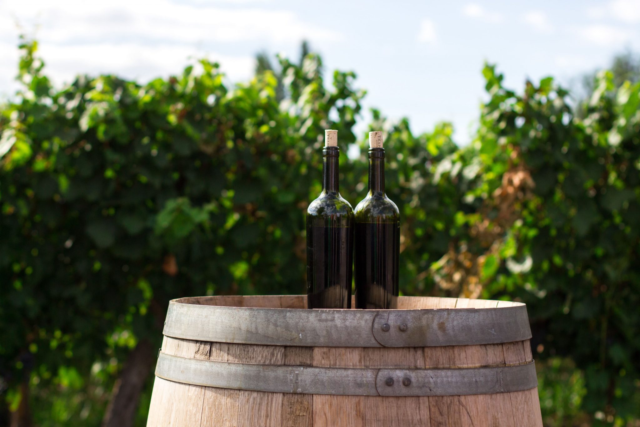 Bouteilles de vin