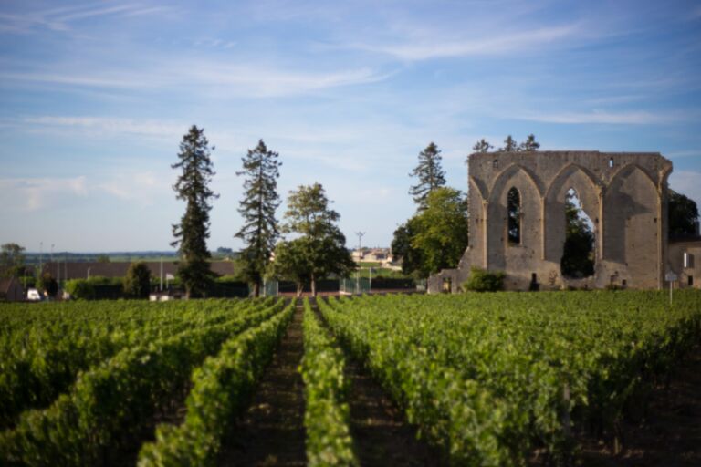 Grande Muraille Saint Emilion