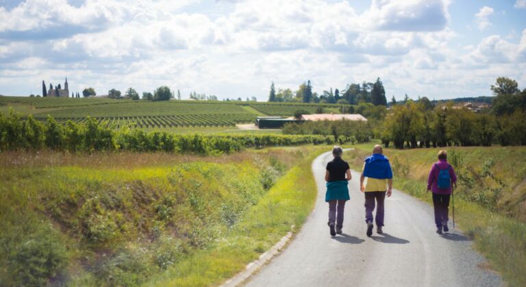 Vignobles