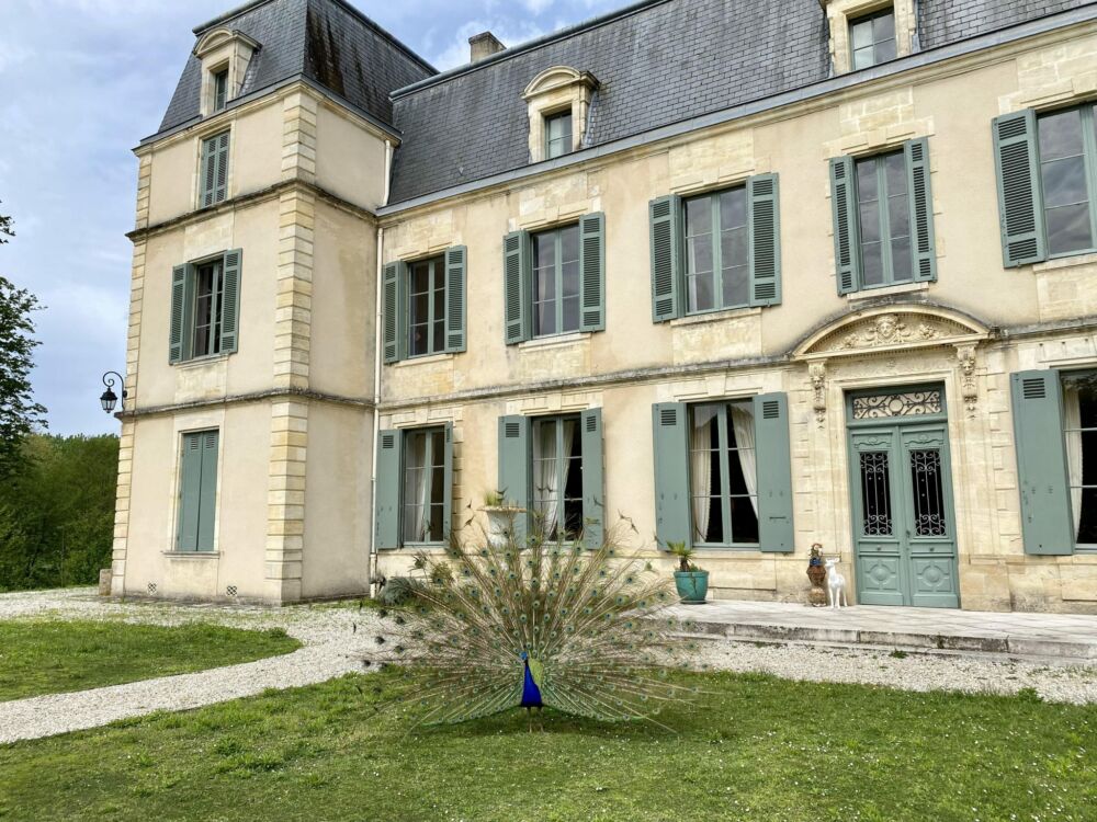 Chateau de la marquise et paons devant