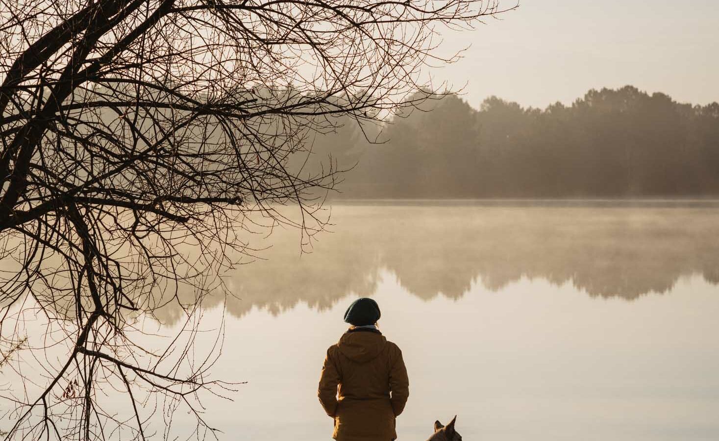Nos idées balades dans le Médoc en hiver