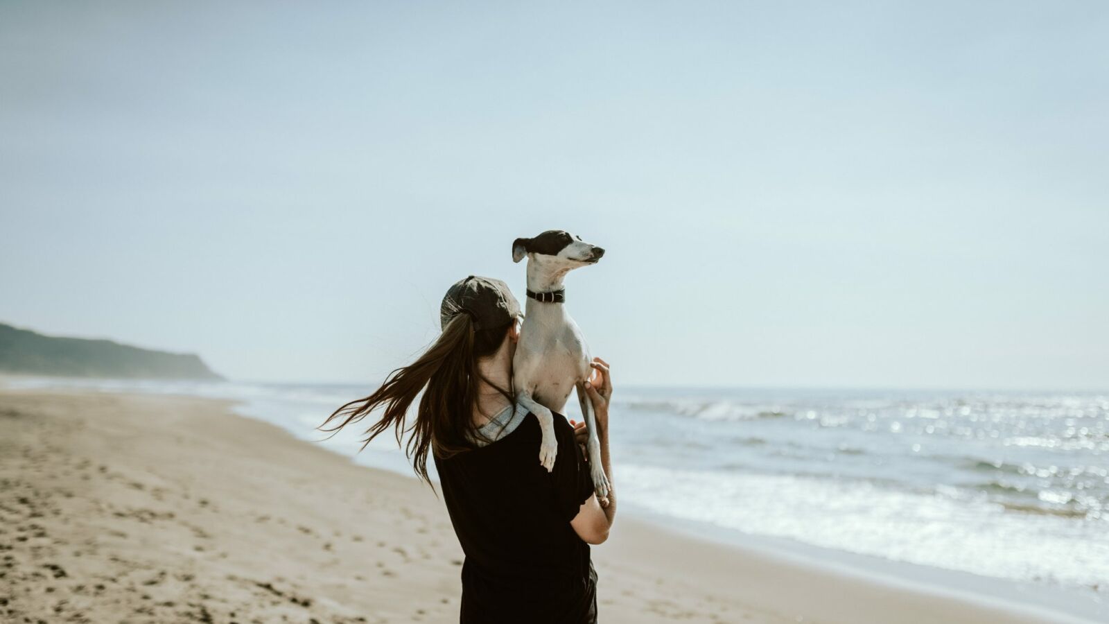 Une journée dans le Médoc avec son chien