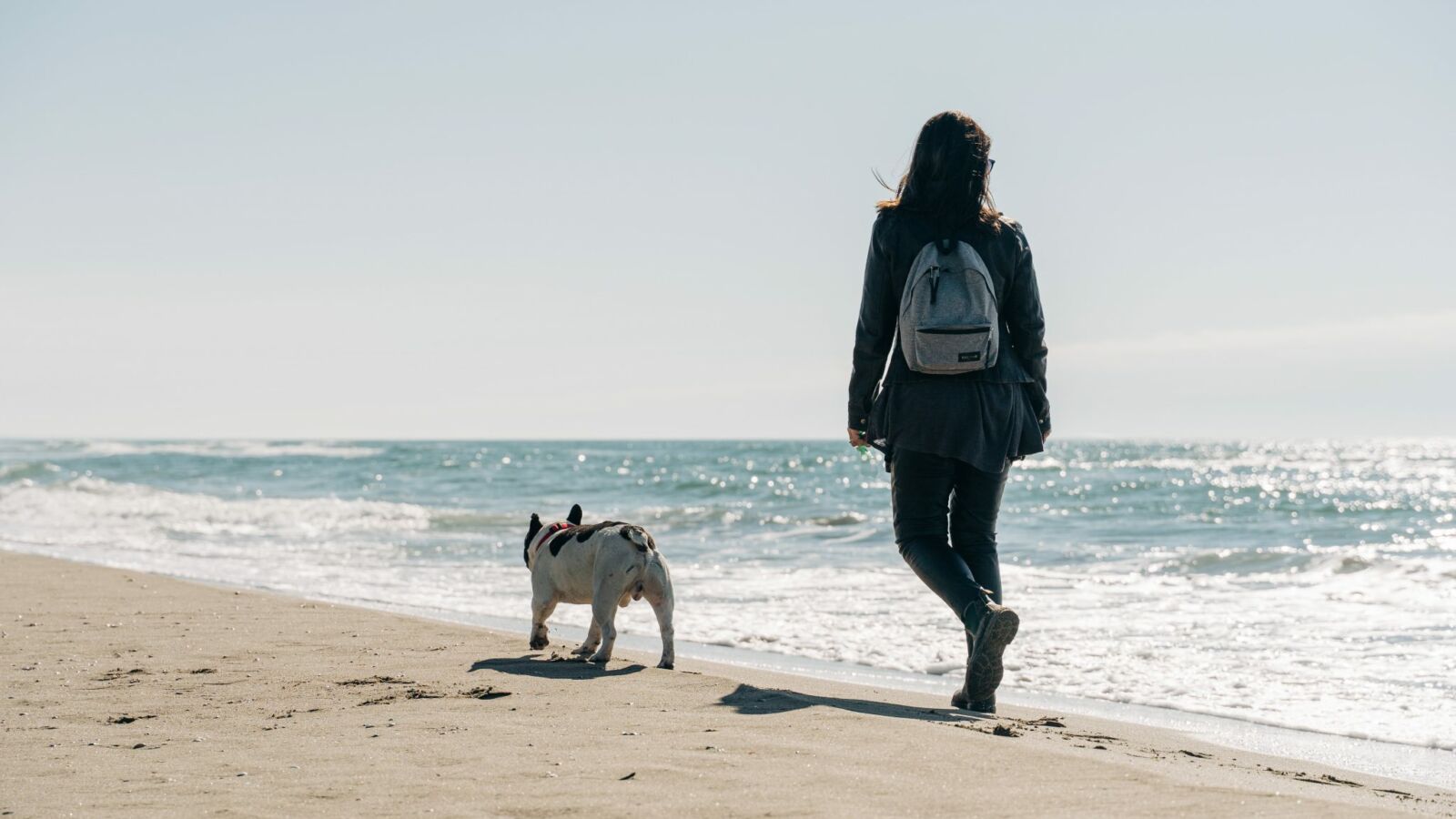 Les meilleures sorties à faire avec son chien dans le Médoc