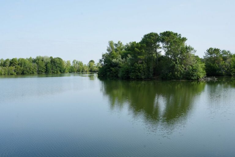 Etang de Bronturon Avensan
