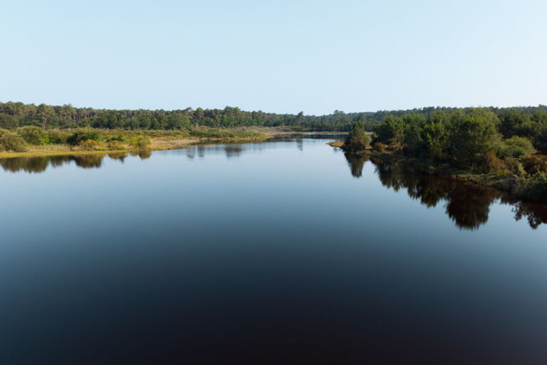 vue drone de l'étang de langouarde au printemps