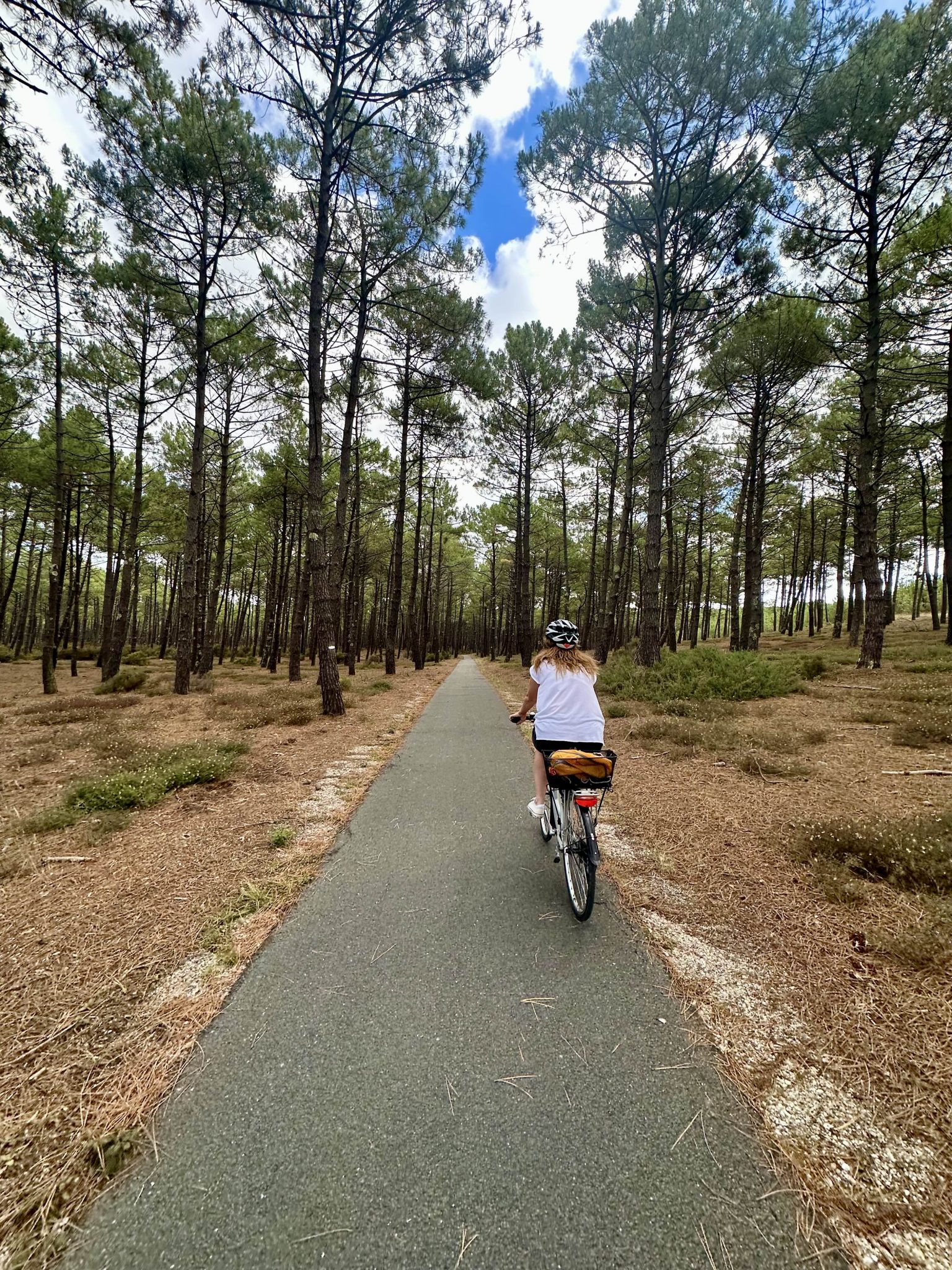 Cycliste sur la Vélodyssée dans la forêt du Médoc