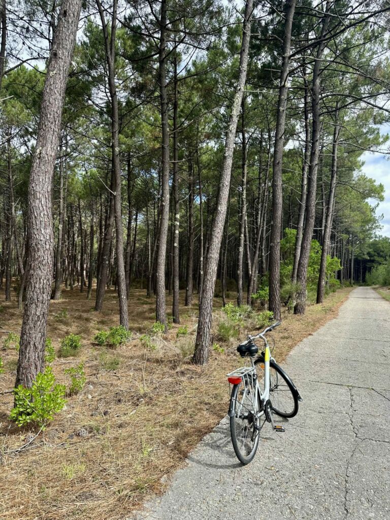 Vélo Fun Bike posé sur la piste cyclable de la Vélodyssée, entouré de pins et sous un ciel bleu