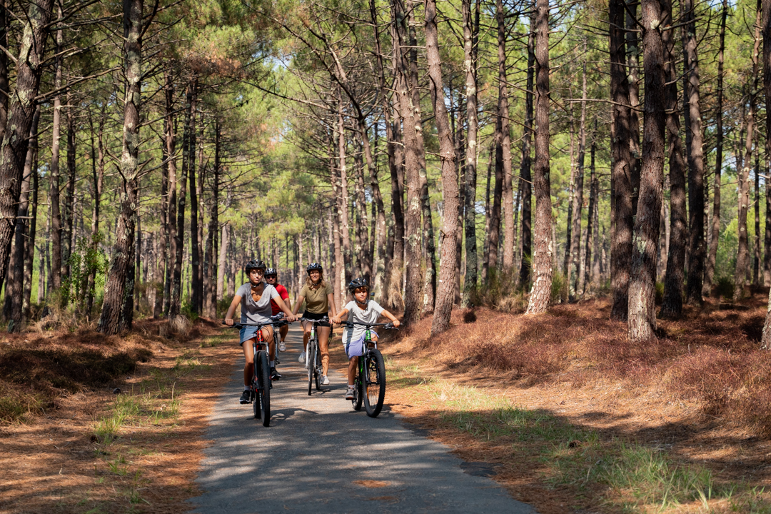 Une boucle vélo et train entre Bordeaux, Médoc et Bassin d’Arcachon