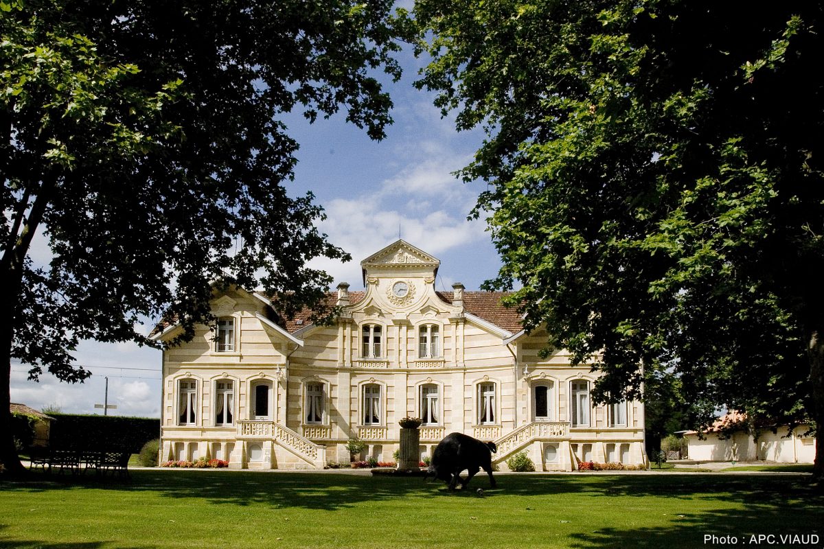 facade du château maucaillou avec des arbre en premier plan