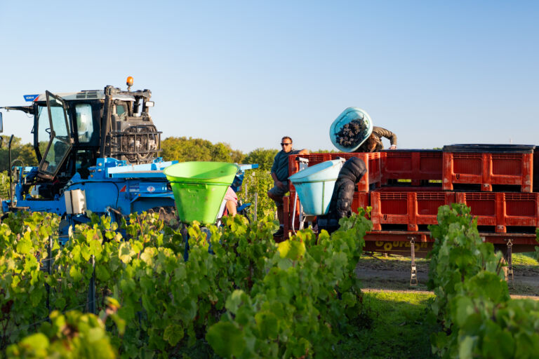 vignoble medoc listrac