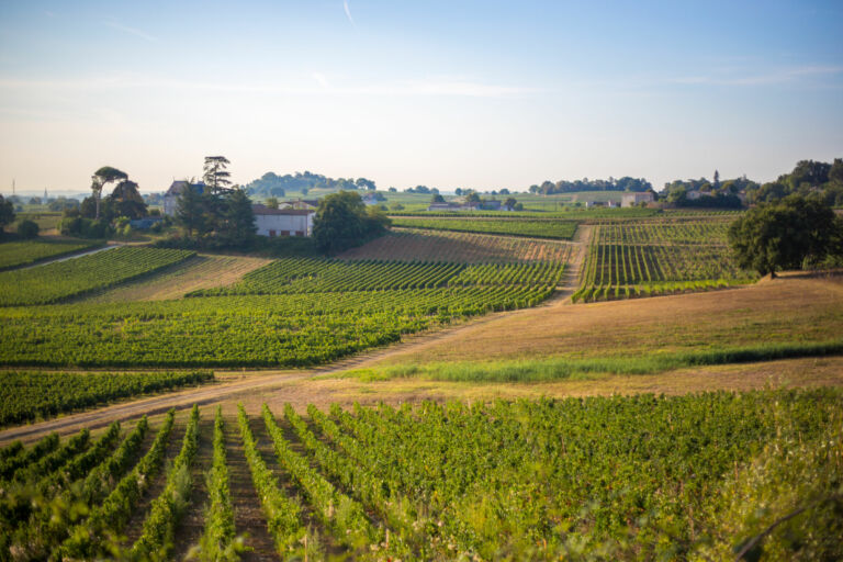 Vignobles de Fronsac