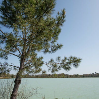 Les Jaugas