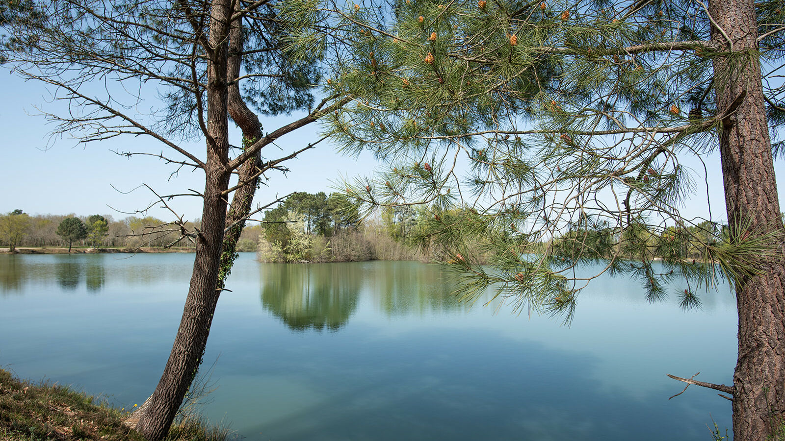 ETANG-DE-BRONTURON