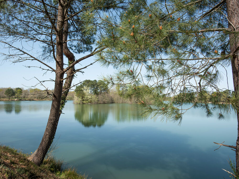 Etang de Bronturon