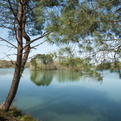 ETANG-DE-BRONTURON