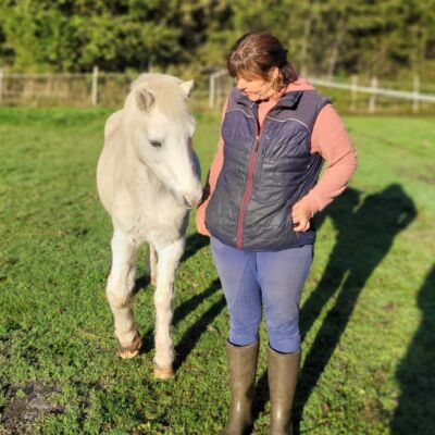 Le bien-être du cheval 