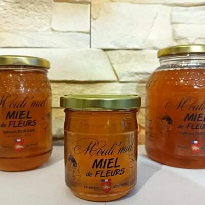 moulimiel@gmail.com