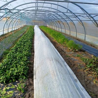La Ferme des Equinoxes