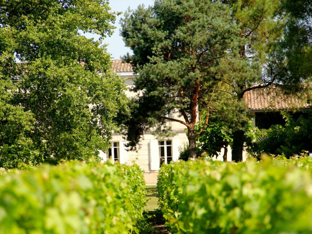 Chateau Baudan
