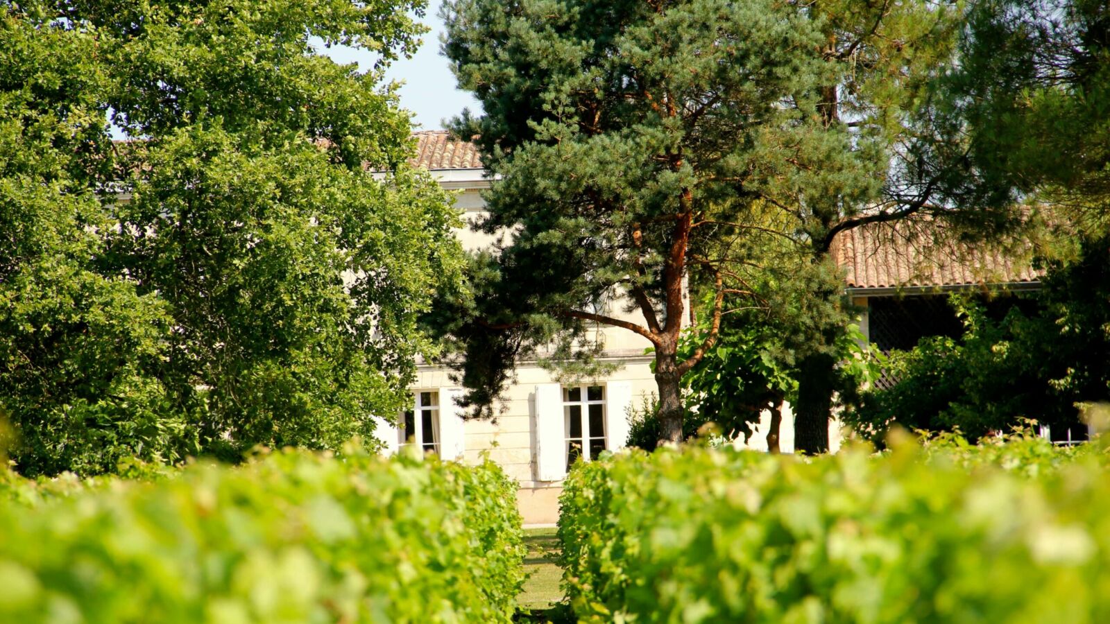 Chateau Baudan