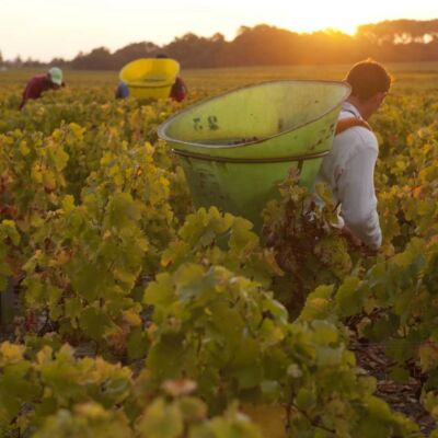 Chateau Chasse Spleen Moulis en Médoc
