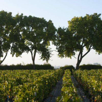 Chateau Chasse Spleen Moulis en Médoc Domaine