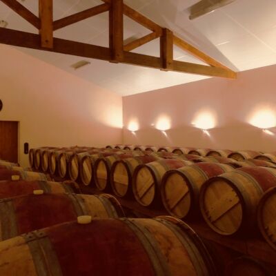 Chateau Semonlon Vignobles Dumora Avensan (2)