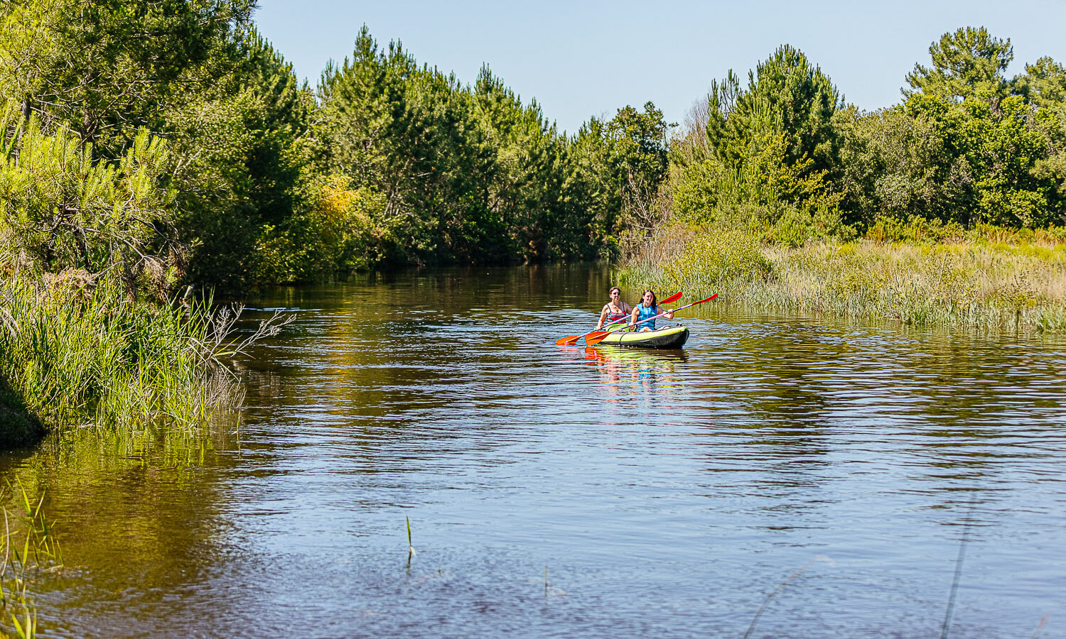 Canoë sur le canal des étangs du Porge
