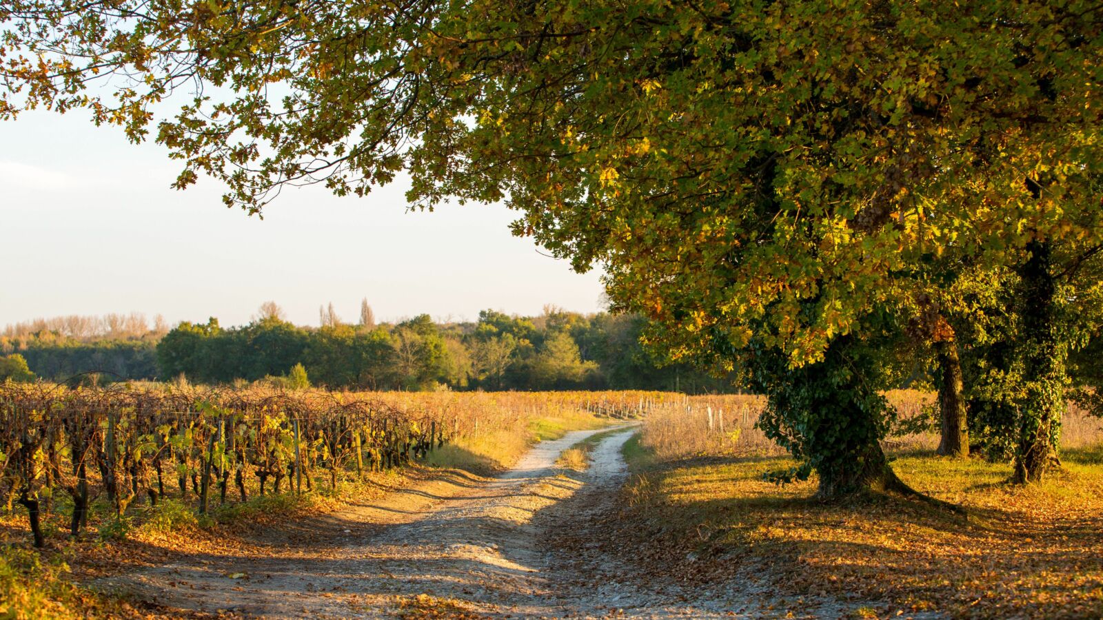 Château Dutruch Grand Poujeaux