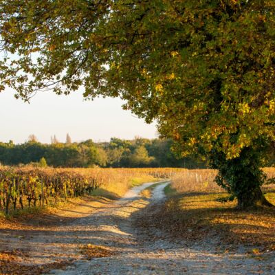 Château Dutruch Grand Poujeaux