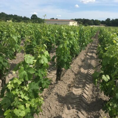 Chateau Pey Mallet