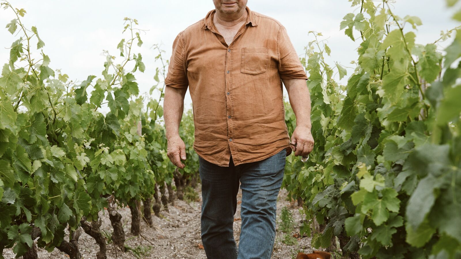 Château Sémeillan Mazeau
