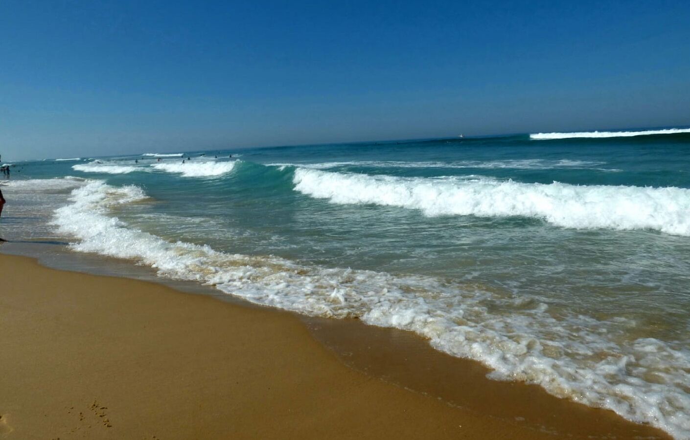 LE PORGE OCEAN 