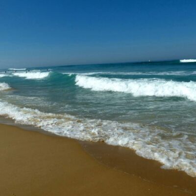 LE PORGE OCEAN 