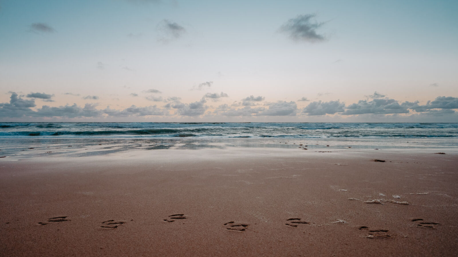 Plage du Porge