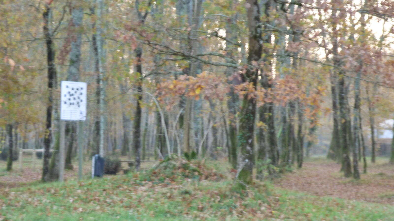 PARCOURS SPORTIF DE SAINTE-HÉLÈNE