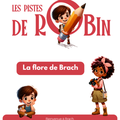 Piste de Robin La Flore de Brach 